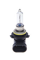 Лампа автомобільна галогенова HIR2 12V 55W PX22d Eco (Bosch 1987302828)