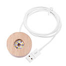 Кришталева куля нічник USB, фото 7