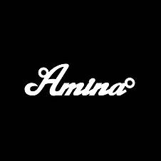 Срібне кольє з ім'ям Amina / ланцюжок з ім'ям Amina / срібна підвіска з ім'ям Amina, фото 4