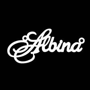 Срібне кольє з ім'ям Albina / ланцюжок з ім'ям Albina / срібна підвіска з ім'ям Albina, фото 3