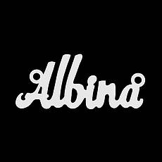 Срібне кольє з ім'ям Albina / ланцюжок з ім'ям Albina / срібна підвіска з ім'ям Albina, фото 4
