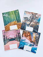 Тетрадь ученическая 18 листов в клетку