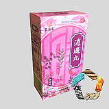 Ши Цюань Да Бу Вань (Shi Quan Da Bu Wan) підвищує імунітет, покращує кровообіг, фото 5