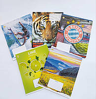 Тетрадь ученическая 24 листа в клетку