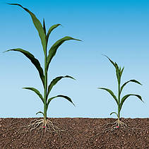 Precision Planting для внесення добрив