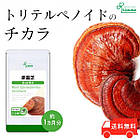 Lipusa Red Ganoderma Licidum екстракт червоного Рейші, 90 капсул на 30 днів. До 10/2025, фото 3