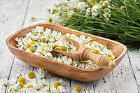 Chamomile: екстракт квітів ромашки — для психоемоційного благополуччя
