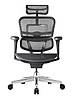 Крісло комп`ютерне Enrandnepr ERGOHUMAN PROJECT 2 BLACK T-168-B1 СІТКА, фото 2