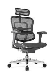Крісло комп`ютерне Enrandnepr ERGOHUMAN PROJECT 2 BLACK T-168-B1 СІТКА