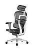 Крісло комп`ютерне Enrandnepr ERGOHUMAN PROJECT 2 BLACK T-168-B1 СІТКА, фото 3