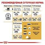 Royal Canin British Shorthair Kitten Роял Канін для кошенят британськой породи від 2 мес, 400 гр, фото 3