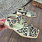 Босоніжки жіночі з квадратним носком. Натуральна шкіра бежевий леопард, фото 4