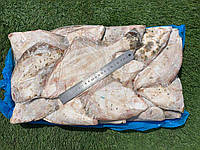 Камбала глоса свіжоморожена 25+, 150-200гр/шт, 5-6шт/кг