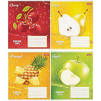 Зошит шкільний 12 аркушів КЛІТИНКА «Мрії збуваються» / зошити учнівські кольорові / 3541