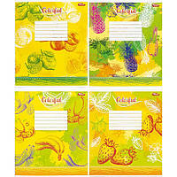 Зошит шкільний 12 аркушів КЛІТИНКА «Мрії збуваються» / 3488