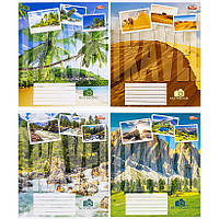 Зошит шкільний 12 аркушів КЛІТИНКА «Мрії збуваються» / 3486