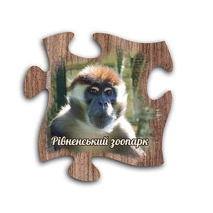 Магніт пазл "Рівненський зоопарк" (мавпа)