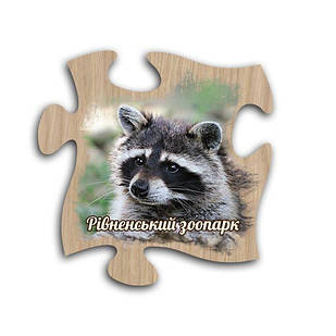 Магніт пазл "Рівненський зоопарк" (єнот)