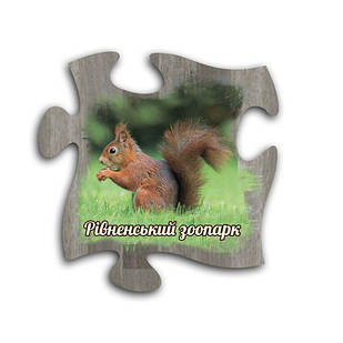 Магніт пазл "Рівненський зоопарк" (білка)