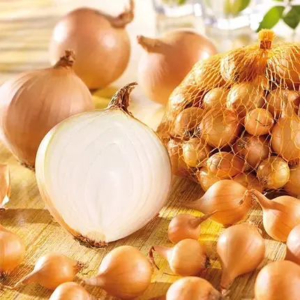 Цибуля сіянка (саджанка) Штур БС 20 Голландія 1кг, фото 1