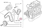 Натяжний ролик ремня генератора Fiat Ducato 250, Peugeot Boxer 3, Citroen Jumper 3 (2006-2014), 3.0JTD/HDi, фото 7