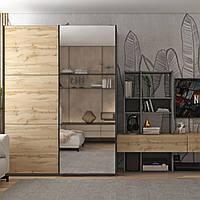 Шафа купе Doros G-Caiser Графіт Дуб Евок 1 ДСП / 1 Дзеркало 160х60х240 (42005072)