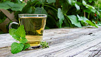 Lemon Balm: екстракт меліси — природний засіб для душевної рівноваги