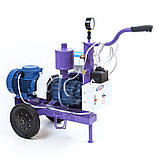 ХЗДО УІД-20 М115 Нержавійка доїльній апарат для корів, фото 3