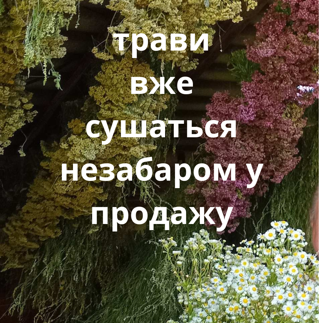 Пахощі для обкурювання, скручування з трави м'яти болотної, трав'яний збір