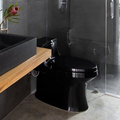 Унітаз з чорного граніту, фото 1