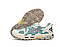 Чоловічі Кросівки Asics Gel-Kahana 8, фото 4
