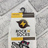Шкарпетки високі весна/осінь Rock'n'socks 455-14 Деб Кот Україна one size (37-40р) НМД-0510837, фото 5