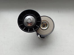 Натяжний ролик ременя генератора Iveco Daily E4 (2006-2011) 3.0hpi, 504086948