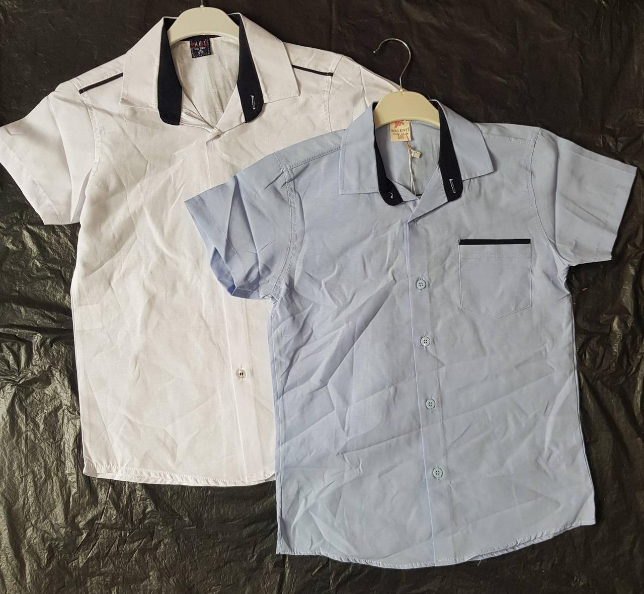 Опт Сорочка класична для хлопців, короткий рукав, р. 6-9 років, блакитна