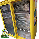 Холодильна вітрина NOVA FLORIDA для алкогольних і безалкогольних напоїв двухдверна, фото 3