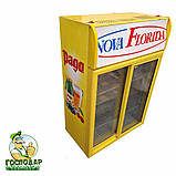 Холодильна вітрина NOVA FLORIDA для алкогольних і безалкогольних напоїв двухдверна, фото 2