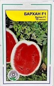 Кавун Бархан 10 нас. Агропакгруп