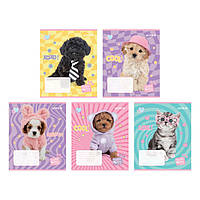 Зошит Kite Studio Pets 12 аркушів клітинка софт тач + УФ лак мікс дизайнів (SP24-232)
