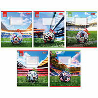 Зошит 1 Вересня Win 24 аркуші клітинка мікс дизайнів (767008)