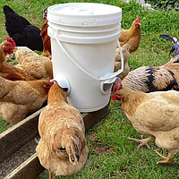 Автоматическая кормушка для курей своими руками, набор для изготовления кормушки 4 дозатора