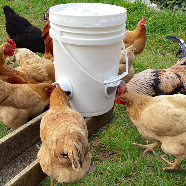 Автоматическая кормушка для курей своими руками, набор для изготовления ...