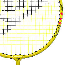Ракетка для бадмінтону професійна в чохлі DUNLOP DL13015234 NITRO-STAR SSX 1.0 YLW G6 HH NF кольори в, фото 5