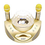 SDRD SD-308 караоке система для дому на два мікрофони з квітчастою і Вluetooth — Чорний, фото 6