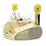 SDRD SD-308 караоке система для дому на два мікрофони з квітчастою і Вluetooth — Чорний, фото 7