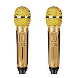 SDRD SD-308 караоке система для дому на два мікрофони з квітчастою і Вluetooth — Чорний, фото 10