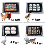 Інкубатор для яєць HHD 12 — Чорний, фото 8