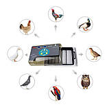 Інкубатор для яєць HHD 12 — Чорний, фото 10