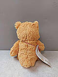 М'які іграшки Б/У Blokker Let's Play knuffel Teddy — 22 cm, фото 5