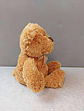 М'які іграшки Б/У Blokker Let's Play knuffel Teddy — 22 cm, фото 6