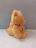 М'які іграшки Б/У Blokker Let's Play knuffel Teddy — 22 cm, фото 6